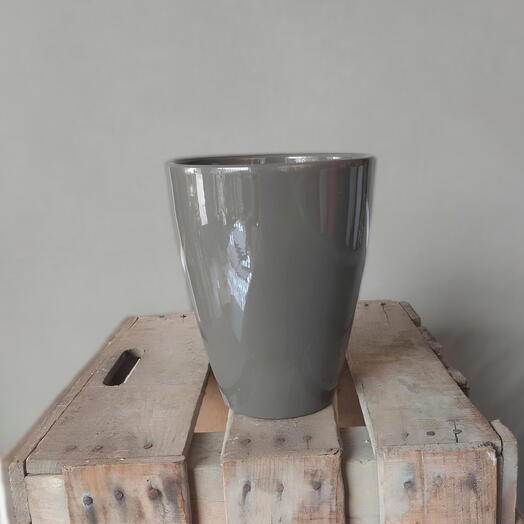 grayish pot for orchids